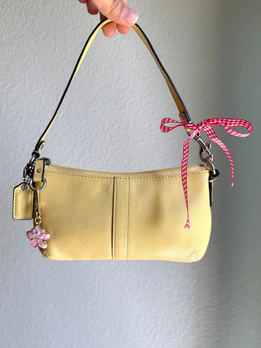 Vintage Coach Clutch Bag